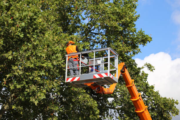 Soil Testing and Treatment in Rochester, IL